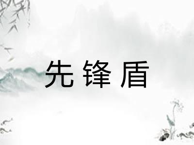 先锋盾