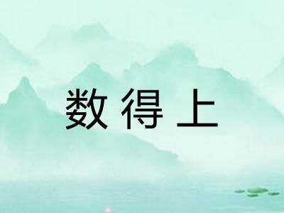 数得上