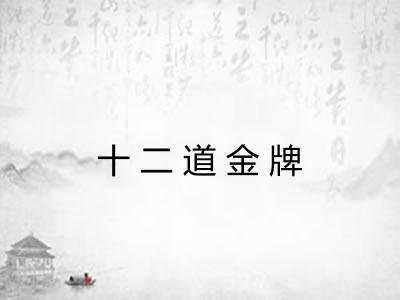 十二道金牌