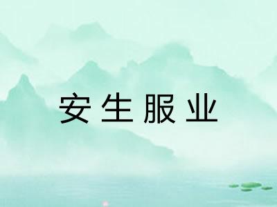 安生服业