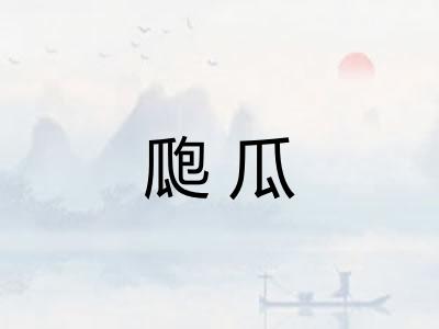 瓟瓜