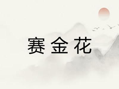 赛金花