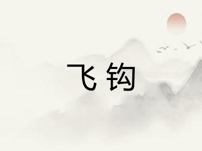 飞钩