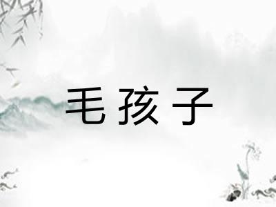 毛孩子