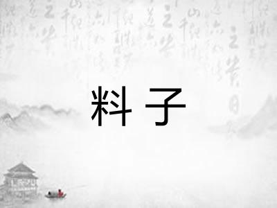 料子