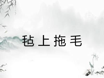 毡上拖毛
