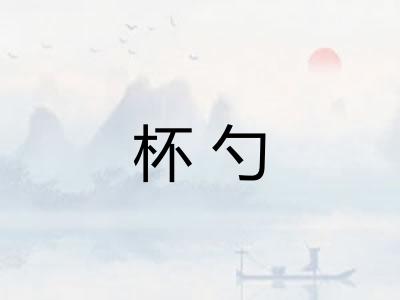 杯勺