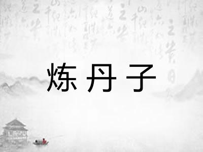 炼丹子