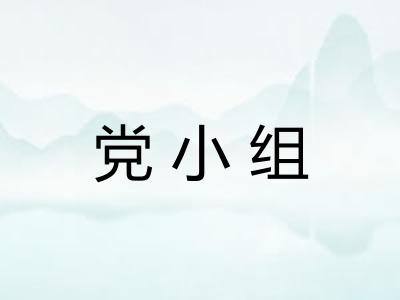 党小组