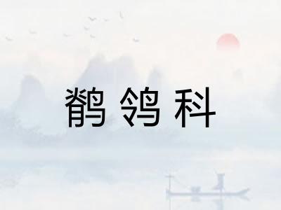 鹡鸰科