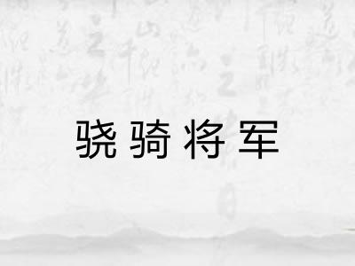 骁骑将军