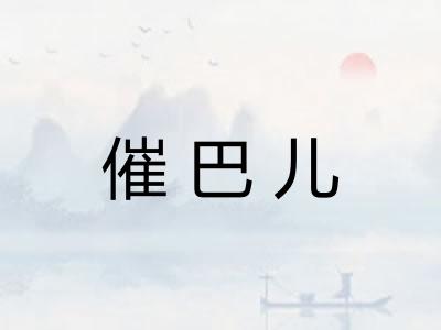 催巴儿