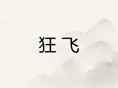 狂飞