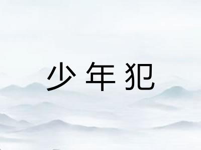 少年犯