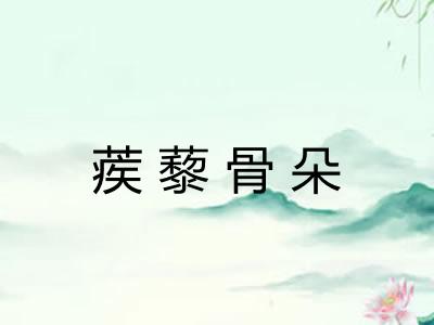 蒺藜骨朵