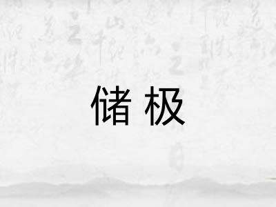 储极