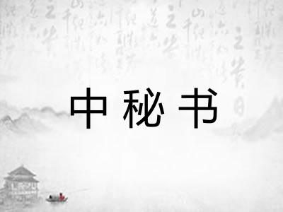 中秘书