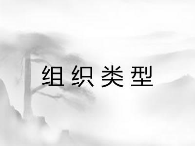 组织类型