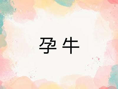 孕牛