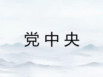 党中央