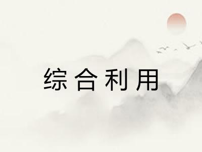 综合利用