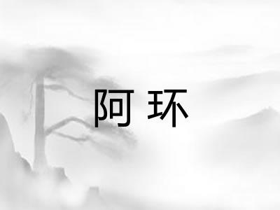 阿环