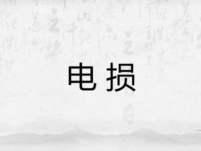 电损