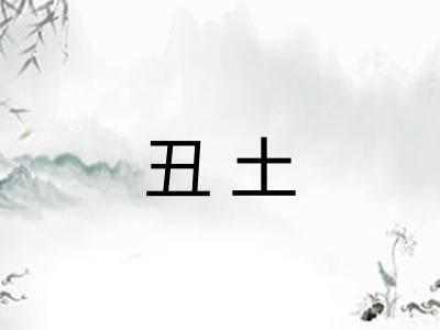 丑土