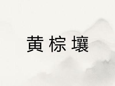 黄棕壤