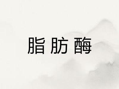 脂肪酶