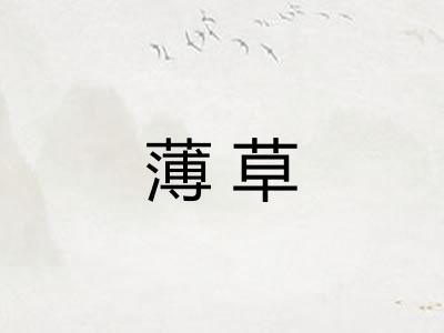 薄草