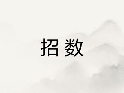 招数