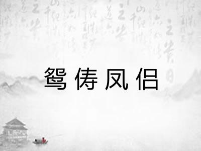 鸳俦凤侣