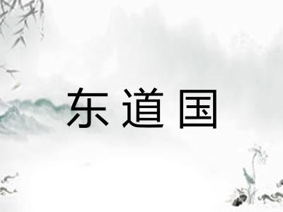 东道国