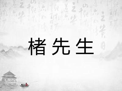 楮先生