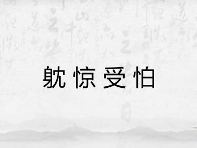躭惊受怕