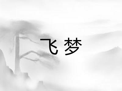 飞梦