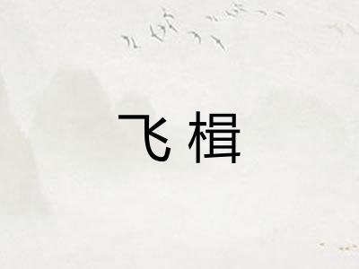 飞楫