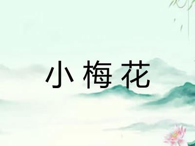 小梅花