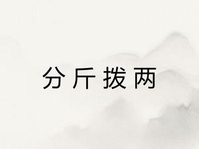 分斤拨两