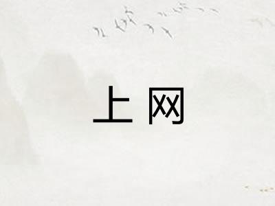 上网