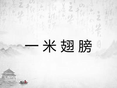 一米翅膀