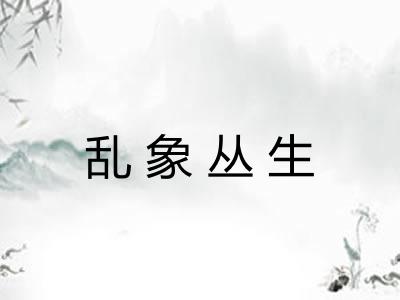 乱象丛生