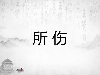 所伤