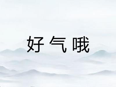 好气哦