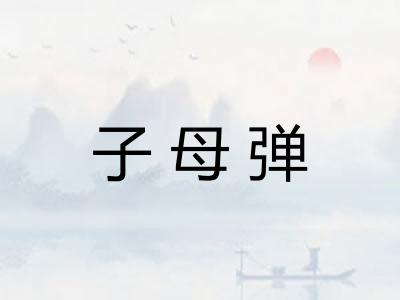 子母弹