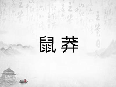鼠莽