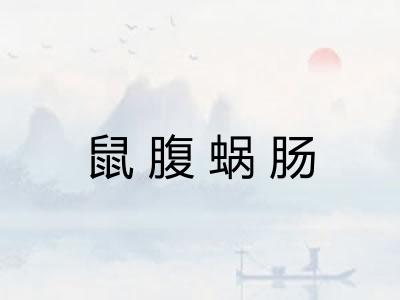 鼠腹蜗肠