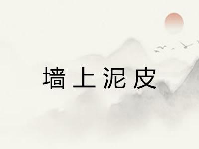 墙上泥皮