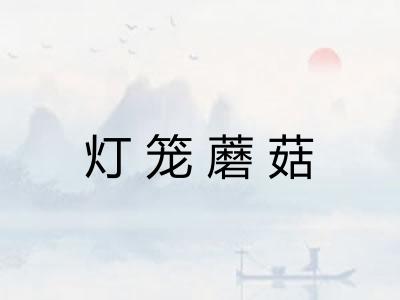 灯笼蘑菇